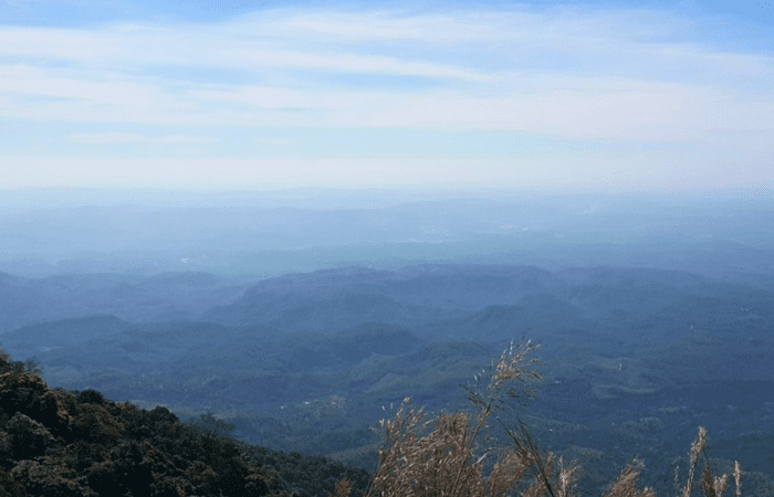 Nokrek National Park