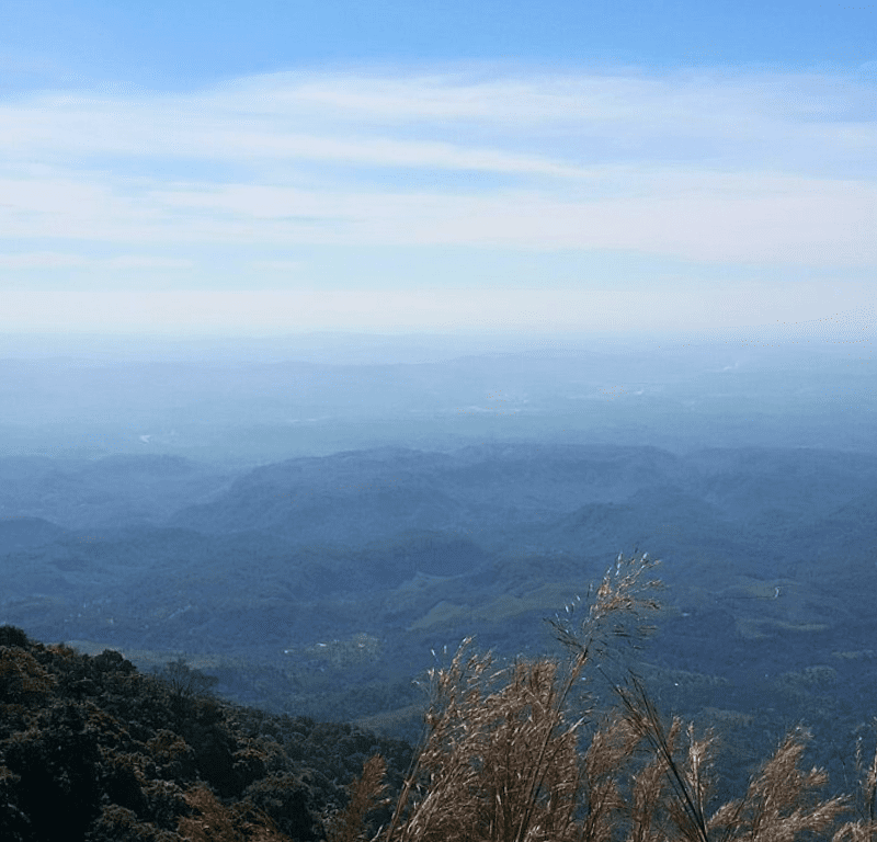 Nokrek National Park