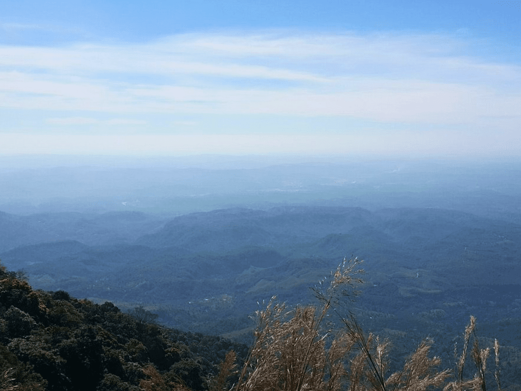 Nokrek National Park