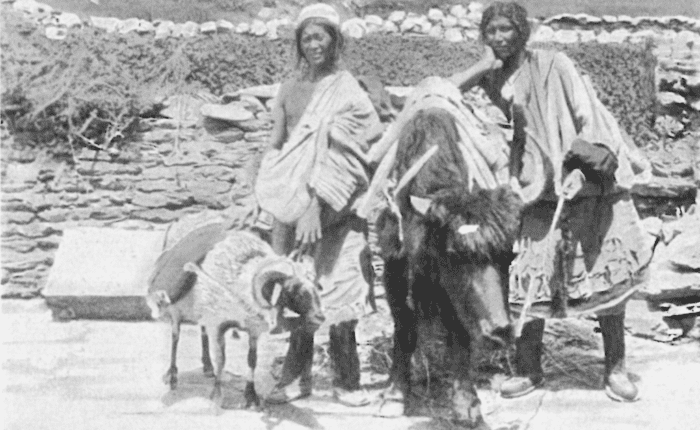 Tibet Nepal Salt Trade Route